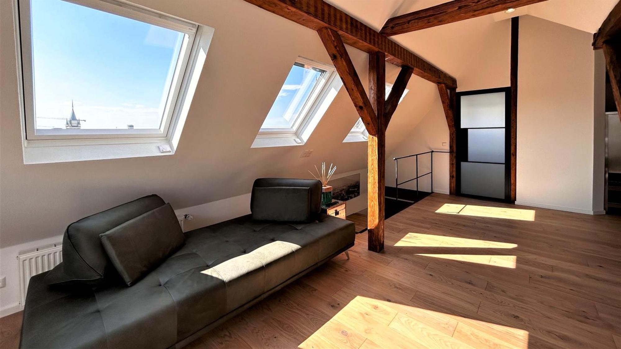 Historical Luxury Homes - Exclusive Selection Freiburg im Breisgau Exteriér fotografie